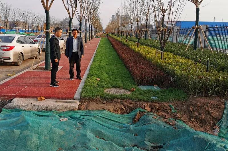 开发区绿化硬化正在施工建设中(图1)