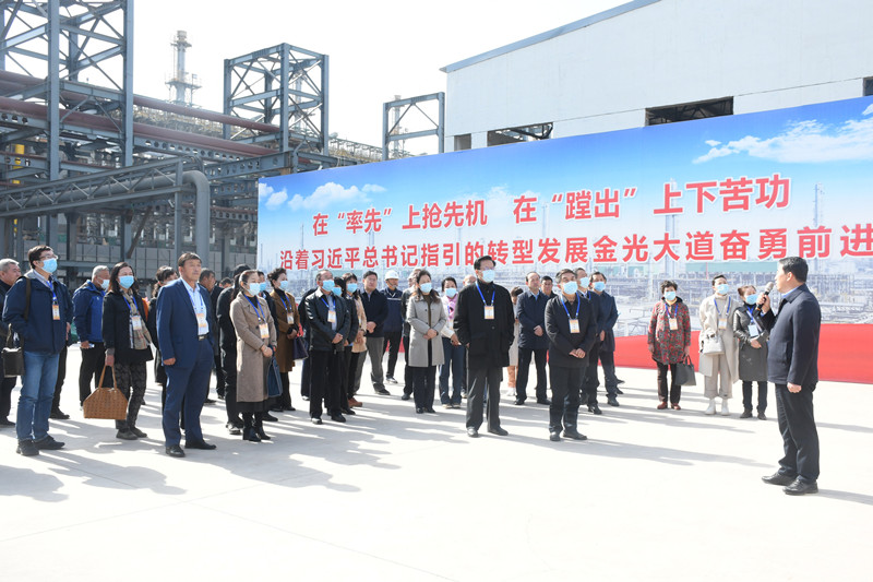 市人大常委会主任张明星莅清调研精细化工循环产业园(图1)