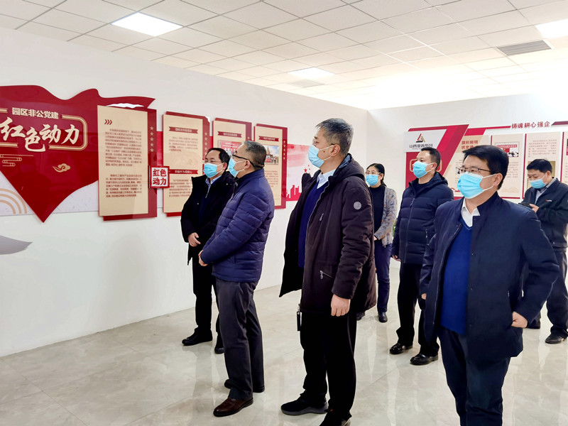 市委宣传部督导我县意识形态工作责任制落实情况(图3)