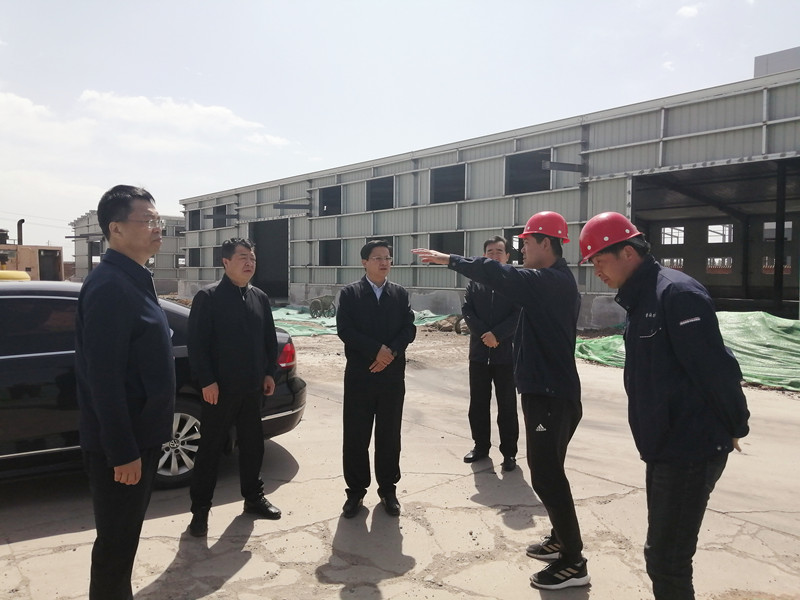 岳兔立、王国庆带队调研项目工地(图1)