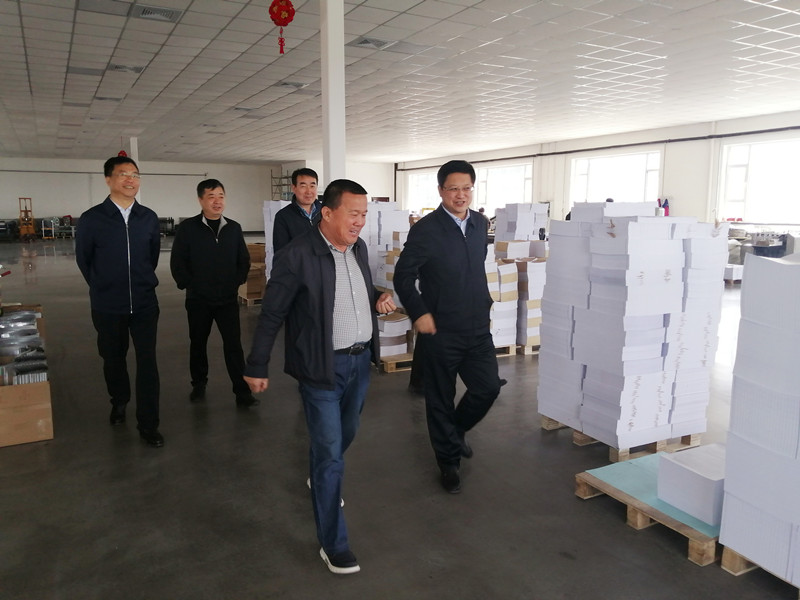 岳兔立、王国庆带队调研项目工地(图2)