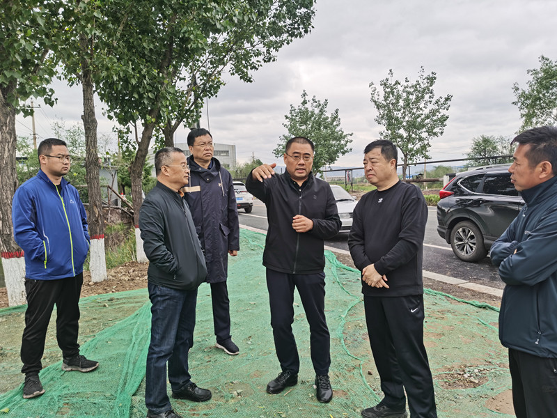 陈晓勇赴项目工地实地调研(图1)