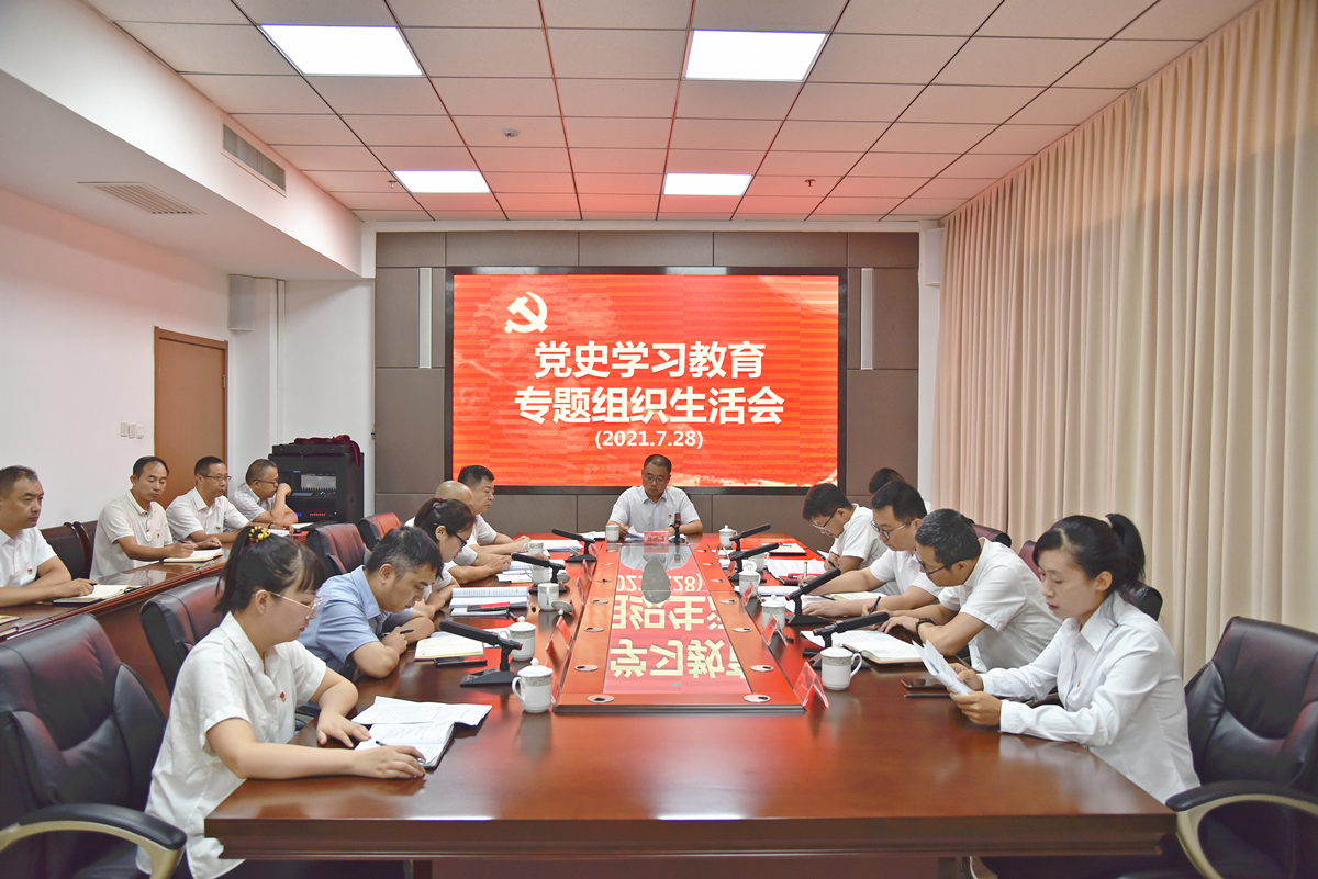 陈晓勇以普通党员身份参加所在党支部党史学习教育专题组织生活会(图1)