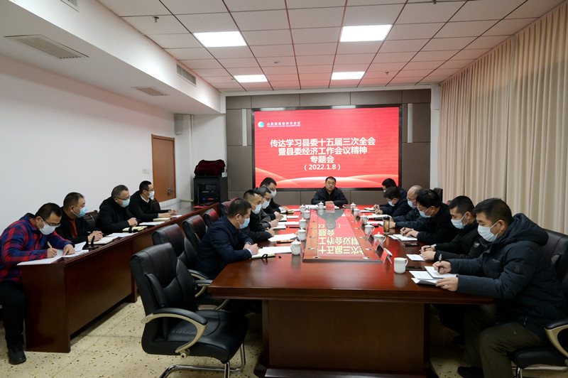 陈晓勇主持召开专题会议(图1)