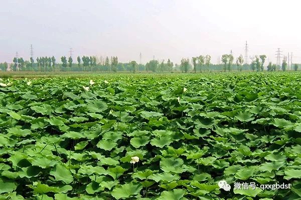 清徐县委书记王琳玉 “醋都”太原市清徐县产业正升级 补齐资源型地区民生短板(图5)