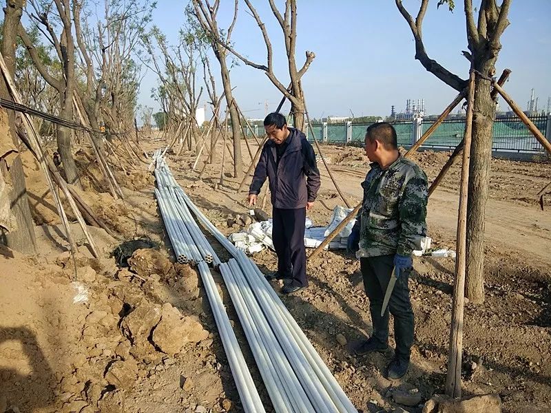 园区电缆管线，自来水接入等工作扎实推进中(图1)